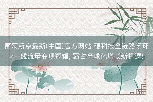 葡萄新京最新(中国)官方网站 硬科技全链路闭环×一线流量变现逻辑， 霸占全球化增长新机遇!