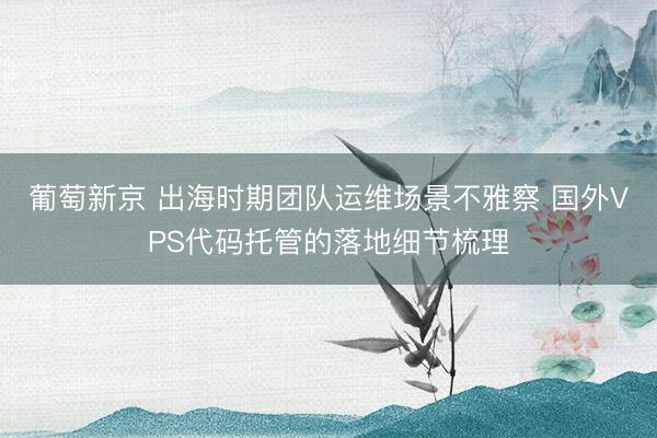 葡萄新京 出海时期团队运维场景不雅察 国外VPS代码托管的落地细节梳理