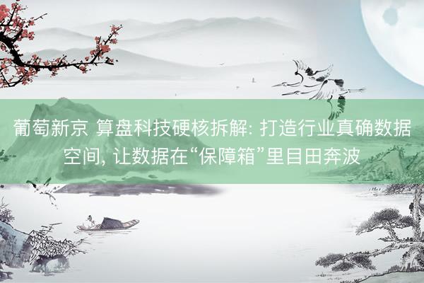 葡萄新京 算盘科技硬核拆解: 打造行业真确数据空间, 让数据在“保障箱”里目田奔波
