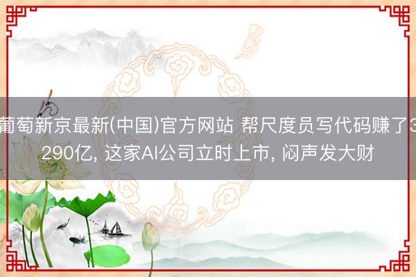 葡萄新京最新(中国)官方网站 帮尺度员写代码赚了3290亿， 这家AI公司立时上市， 闷声发大财