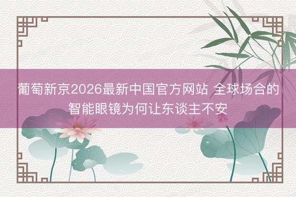 葡萄新京2026最新中国官方网站 全球场合的智能眼镜为何让东谈主不安