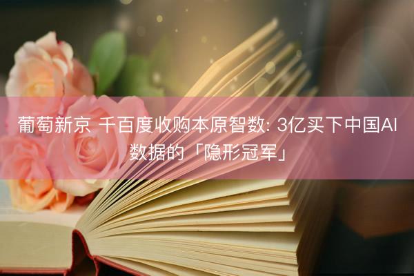葡萄新京 千百度收购本原智数: 3亿买下中国AI数据的「隐形冠军」