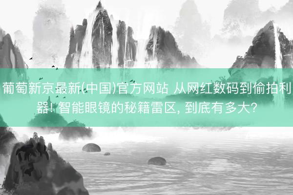 葡萄新京最新(中国)官方网站 从网红数码到偷拍利器! 智能眼镜的秘籍雷区， 到底有多大?