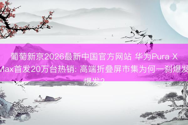 葡萄新京2026最新中国官方网站 华为Pura X Max首发20万台热销: 高端折叠屏市集为何一刹爆发?