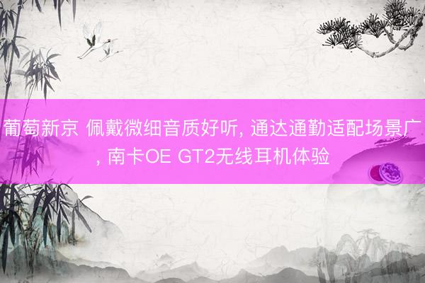 葡萄新京 佩戴微细音质好听， 通达通勤适配场景广， 南卡OE GT2无线耳机体验