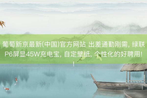 葡萄新京最新(中国)官方网站 出差通勤刚需， 绿联P6屏显45W充电宝， 自定壁纸， 个性化的好聘用!