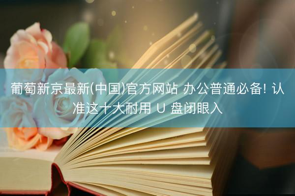 葡萄新京最新(中国)官方网站 办公普通必备! 认准这十大耐用 U 盘闭眼入