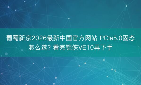 葡萄新京2026最新中国官方网站 PCIe5.0固态怎么选? 看完铠侠VE10再下手