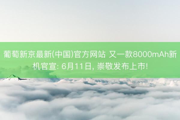 葡萄新京最新(中国)官方网站 又一款8000mAh新机官宣: 6月11日， 崇敬发布上市!