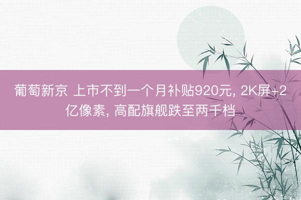 葡萄新京 上市不到一个月补贴920元， 2K屏+2亿像素， 高配旗舰跌至两千档
