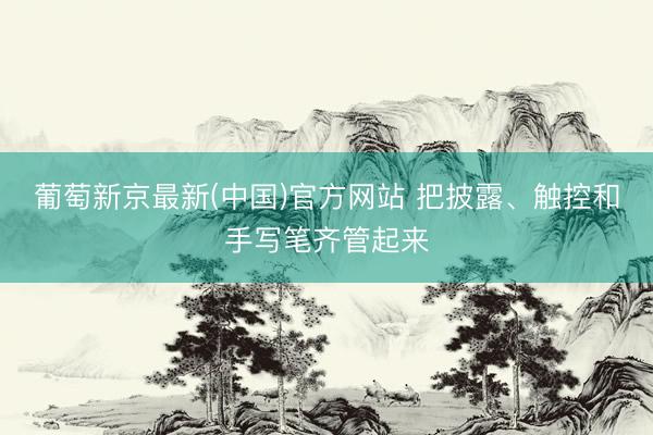 葡萄新京最新(中国)官方网站 把披露、触控和手写笔齐管起来