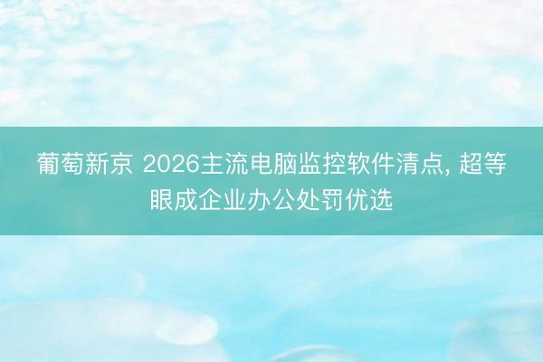 葡萄新京 2026主流电脑监控软件清点， 超等眼成企业办公处罚优选