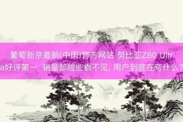 葡萄新京最新(中国)官方网站 努比亚Z80 Ultra好评第一, 销量却险些看不见, 用户到底在夸什么?