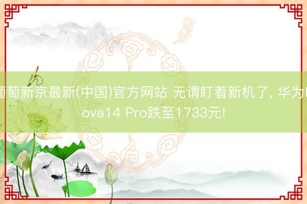 葡萄新京最新(中国)官方网站 无谓盯着新机了, 华为Nova14 Pro跌至1733元!