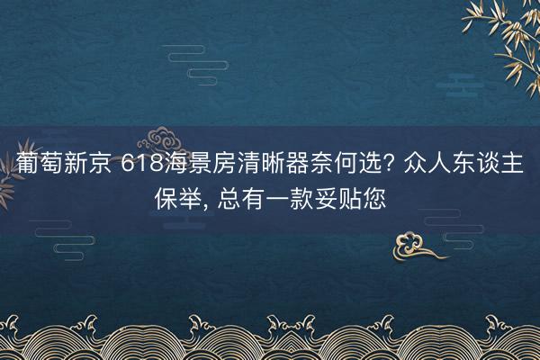 葡萄新京 618海景房清晰器奈何选? 众人东谈主保举， 总有一款妥贴您