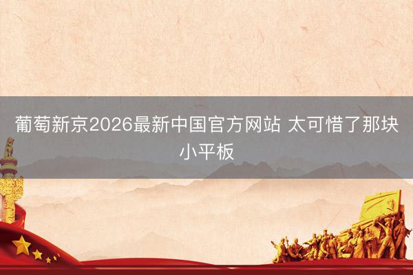 葡萄新京2026最新中国官方网站 太可惜了那块小平板