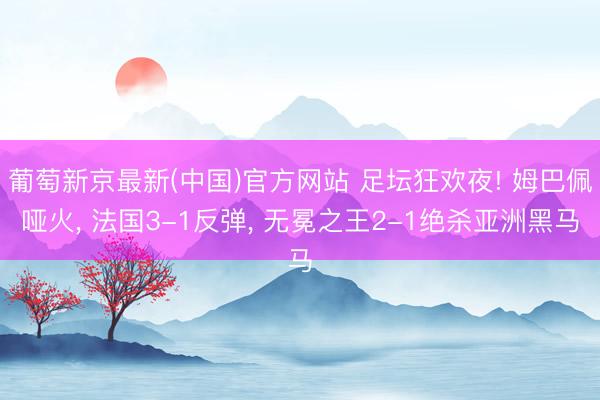 葡萄新京最新(中国)官方网站 足坛狂欢夜! 姆巴佩哑火， 法国3-1反弹， 无冕之王2-1绝杀亚洲黑马