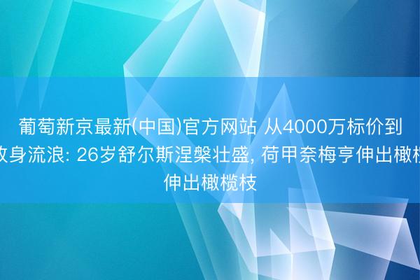 葡萄新京最新(中国)官方网站 从4000万标价到解放身流浪: 26岁舒尔斯涅槃壮盛， 荷甲奈梅亨伸出橄榄枝