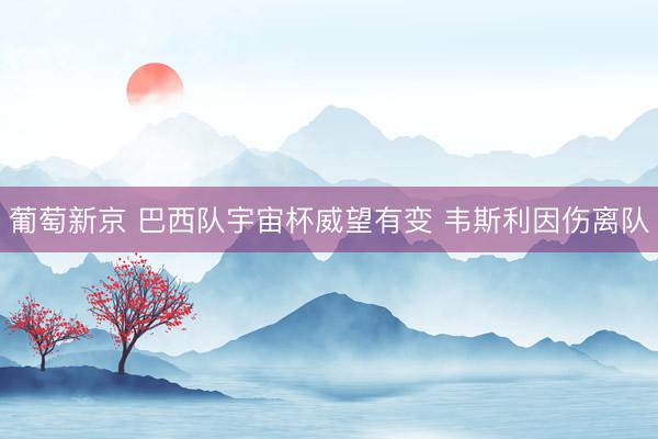 葡萄新京 巴西队宇宙杯威望有变 韦斯利因伤离队