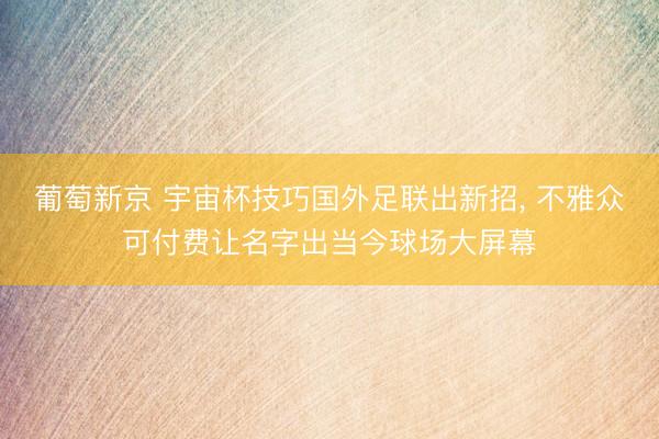 葡萄新京 宇宙杯技巧国外足联出新招, 不雅众可付费让名字出当今球场大屏幕
