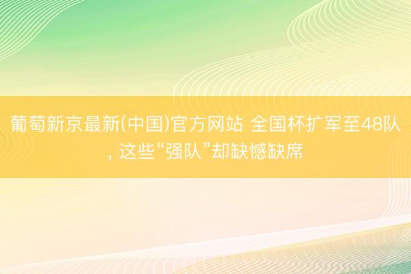 葡萄新京最新(中国)官方网站 全国杯扩军至48队, 这些“强队”却缺憾缺席