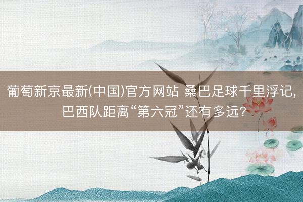 葡萄新京最新(中国)官方网站 桑巴足球千里浮记， 巴西队距离“第六冠”还有多远?