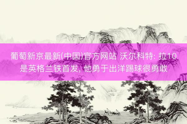 葡萄新京最新(中国)官方网站 沃尔科特: 拉10是英格兰铁首发, 他勇于出洋踢球很勇敢