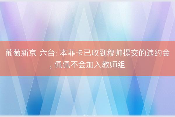 葡萄新京 六台: 本菲卡已收到穆帅提交的违约金， 佩佩不会加入教师组