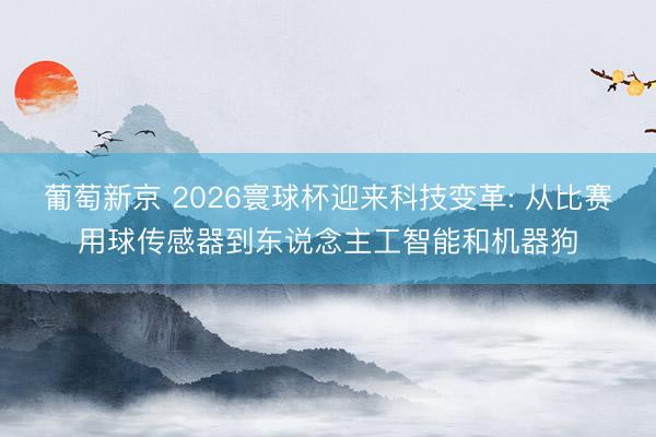 葡萄新京 2026寰球杯迎来科技变革: 从比赛用球传感器到东说念主工智能和机器狗