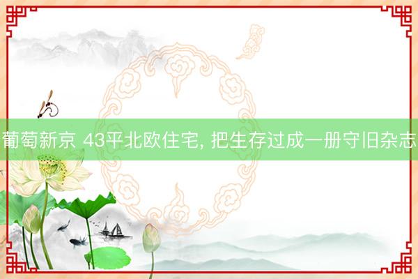 葡萄新京 43平北欧住宅， 把生存过成一册守旧杂志