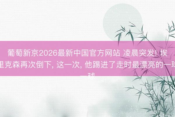 葡萄新京2026最新中国官方网站 凌晨突发! 埃里克森再次倒下， 这一次， 他踢进了走时最漂亮的一球