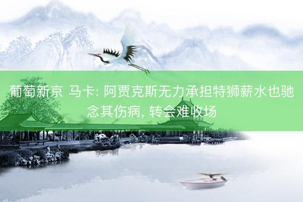 葡萄新京 马卡: 阿贾克斯无力承担特狮薪水也驰念其伤病， 转会难收场