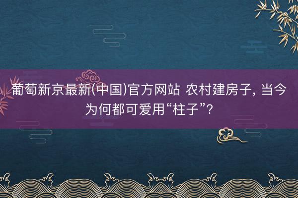 葡萄新京最新(中国)官方网站 农村建房子， 当今为何都可爱用“柱子”?