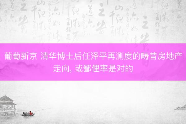 葡萄新京 清华博士后任泽平再测度的畴昔房地产走向, 或鄙俚率是对的