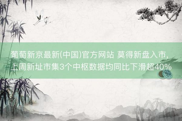 葡萄新京最新(中国)官方网站 莫得新盘入市， 上周新址市集3个中枢数据均同比下滑超40%