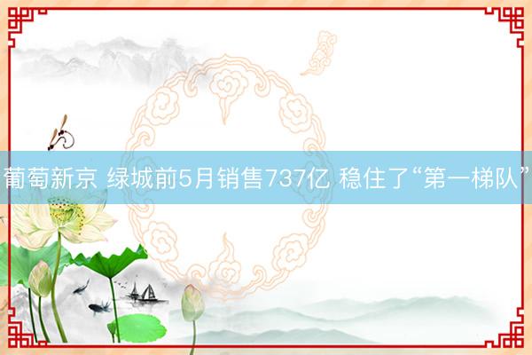 葡萄新京 绿城前5月销售737亿 稳住了“第一梯队”