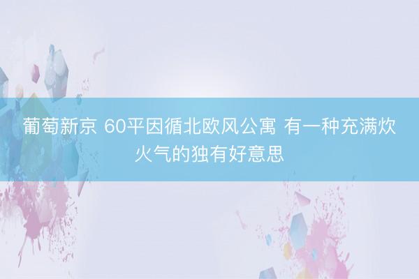 葡萄新京 60平因循北欧风公寓 有一种充满炊火气的独有好意思
