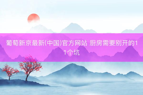 葡萄新京最新(中国)官方网站 厨房需要别开的11个坑