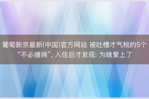 葡萄新京最新(中国)官方网站 被吐槽才气税的5个“不必缠绵”， 入住后才发现: 为啥爱上了