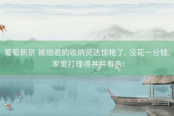 葡萄新京 被细君的收纳贤达惊艳了, 没花一分钱, 家里打理得井井有条!