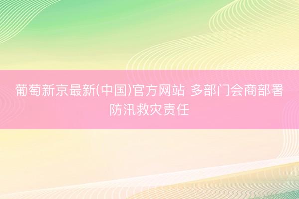 葡萄新京最新(中国)官方网站 多部门会商部署防汛救灾责任