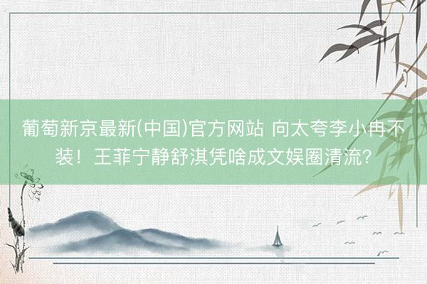 葡萄新京最新(中国)官方网站 向太夸李小冉不装！王菲宁静舒淇凭啥成文娱圈清流？