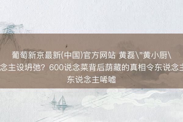 葡萄新京最新(中国)官方网站 黄磊