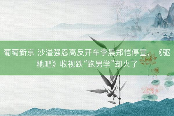 葡萄新京 沙溢强忍高反开车李晨郑恺停宣，《驱驰吧》收视跌“跑男学”却火了