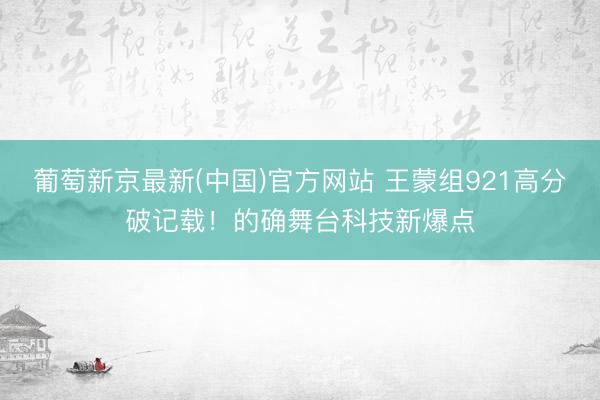 葡萄新京最新(中国)官方网站 王蒙组921高分破记载！的确舞台科技新爆点