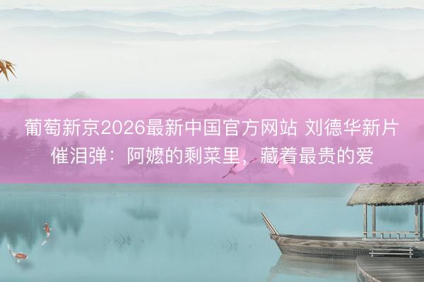 葡萄新京2026最新中国官方网站 刘德华新片催泪弹:阿嬷的剩菜里,藏着最贵的爱