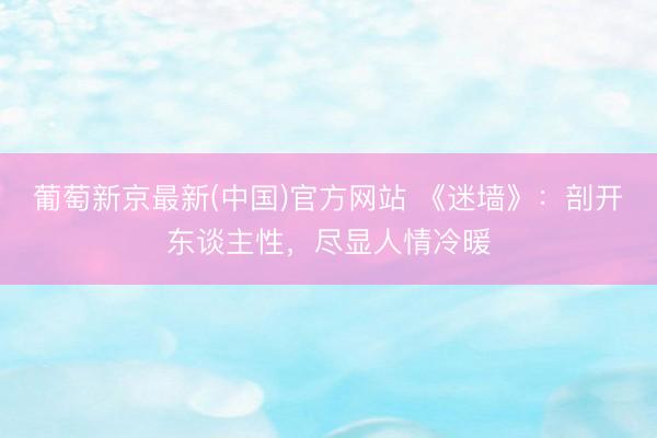 葡萄新京最新(中国)官方网站 《迷墙》：剖开东谈主性，尽显人情冷暖