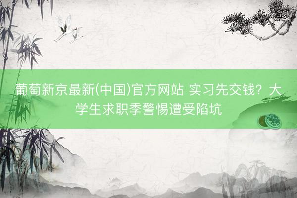 葡萄新京最新(中国)官方网站 实习先交钱？大学生求职季警惕遭受陷坑