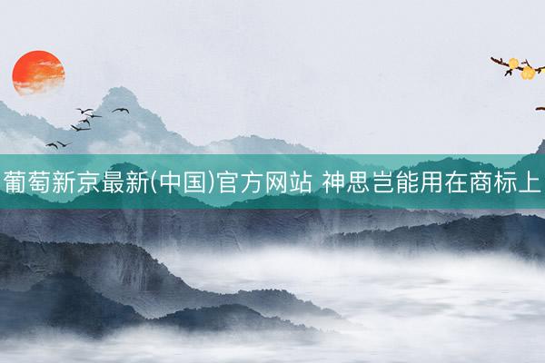 葡萄新京最新(中国)官方网站 神思岂能用在商标上