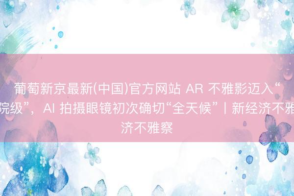 葡萄新京最新(中国)官方网站 AR 不雅影迈入“影院级”，AI 拍摄眼镜初次确切“全天候”丨新经济不雅察